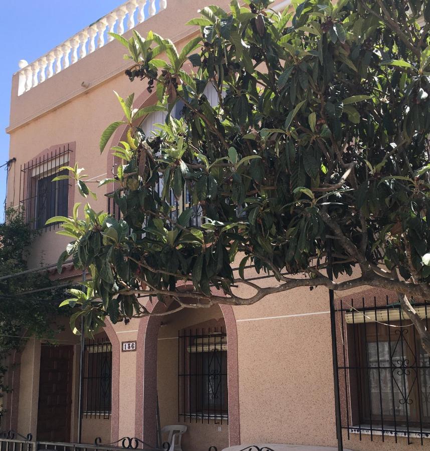 Casa Phoenix Bed & Breakfast Bed & Breakfast La Marina Exterior photo