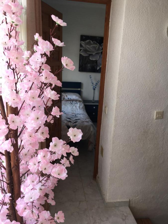 Casa Phoenix Bed & Breakfast Bed & Breakfast La Marina Exterior photo